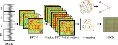 Temporal-spatial dynamic functional connectivity analysis in schizophrenia classification